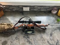 IMG_2921.jpeg