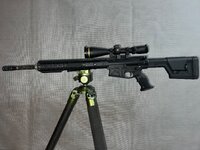 IMG_9391.jpeg