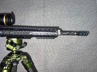 IMG_9396.jpeg