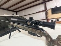 IMG_1519.jpeg