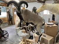 IMG_8112.jpeg