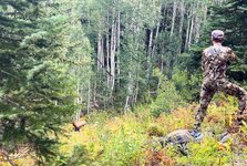 2024 Elk Hunt.JPG