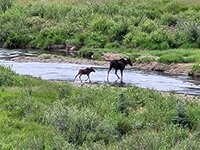 20250722_113623.jpg