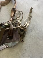 IMG_4747.jpeg