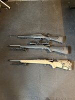 IMG_4272.JPEG