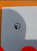 IMG_6621.jpeg