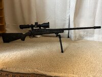 IMG_8505.jpeg