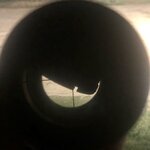 IMG_9250.jpeg