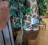 PXL_20250720_183216622.jpg