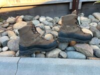 IMG_5529.jpeg