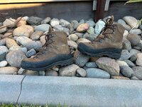 IMG_5530.jpeg