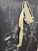 IMG_0435.jpeg