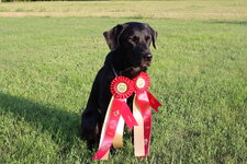 IMG_2878.jpeg