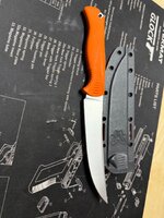 IMG_0434.jpeg