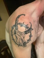 IMG_2698.jpeg