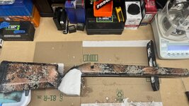 IMG_6087.jpeg
