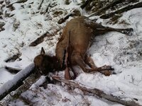 IMG_4373.jpeg