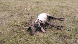 IMG_4370.jpeg