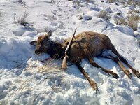 IMG_4369.jpeg
