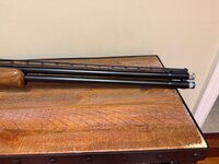 IMG_8120.jpeg