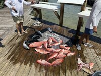 IMG_6701.jpeg