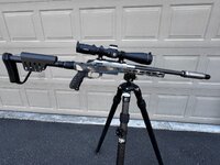 IMG_3808.jpeg