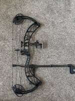 IMG_2895.jpeg