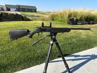 IMG_7680.jpeg