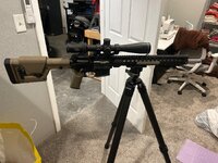 IMG_4271.jpeg
