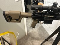 IMG_4275.jpeg