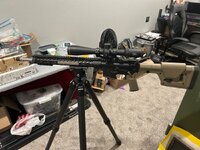 IMG_4276.jpeg
