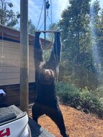 IMG_4770.jpeg