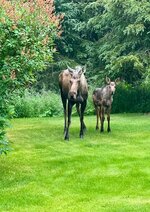 IMG_3194.jpeg