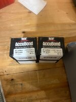 IMG_8962.jpeg