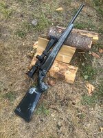 IMG_4672.jpeg