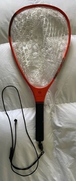 IMG_4221.jpeg