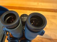 IMG_9063.jpeg