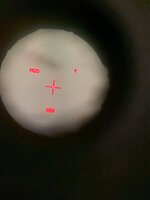 IMG_0042.jpeg