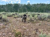 IMG_2932.jpeg