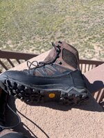 IMG_7736.jpeg