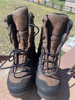 IMG_7737.jpeg