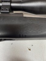 IMG_0572.jpeg