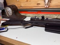 IMG_0576.jpeg