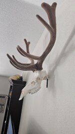 20250727_171931.jpg