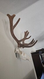 20250727_172113.jpg
