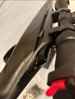 IMG_5925.jpeg