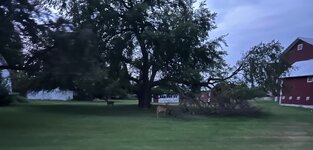 IMG_9335.jpeg