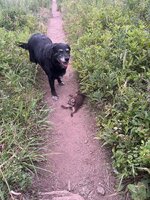 IMG_6869.jpeg