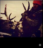 IMG_1355.jpeg