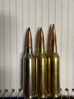 Berger 156g.jpg